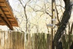 7 Lodge External Shower