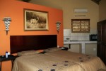 15 Klipspringer Interior Kudu