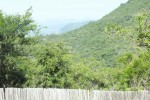 6Wooden View